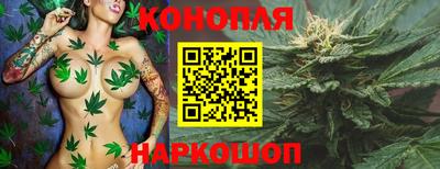индика Гусь-Хрустальный