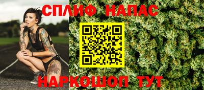 индика Гусь-Хрустальный