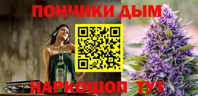 индика Гусь-Хрустальный