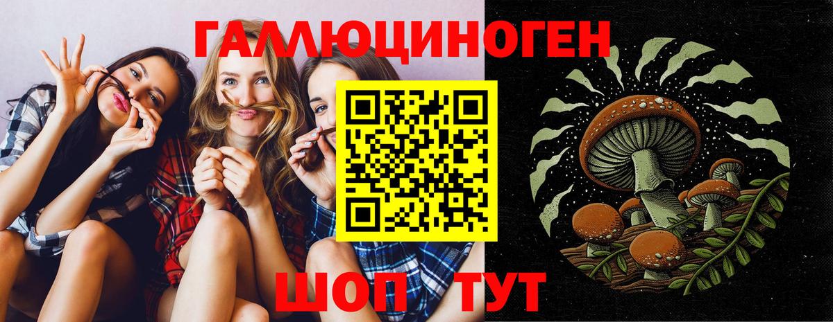 Псилоцибиновые грибы MAGIC MUSHROOMS Дюртюли