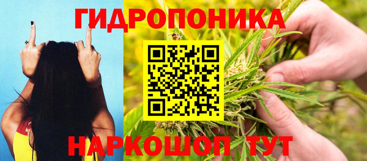 Бошки марихуана план Дюртюли